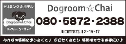 Dogroom☆Chai