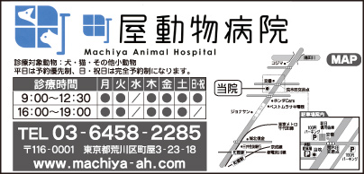 町屋動物病院