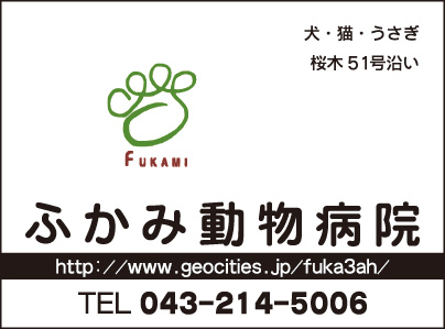 ふかみ動物病院