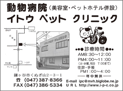 イトウ ペット クリニック