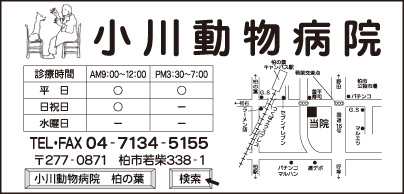 小川動物病院