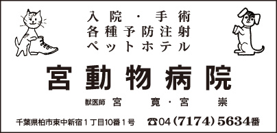 宮動物病院