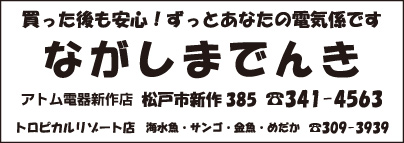 ながしまでんき