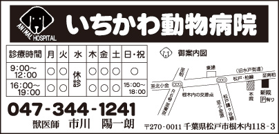 いちかわ動物病院