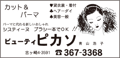 ビューティ ピカソ