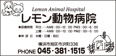 レモン動物病院