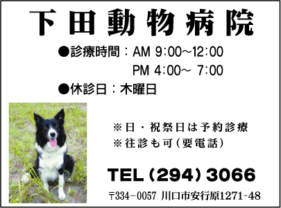 下田動物病院