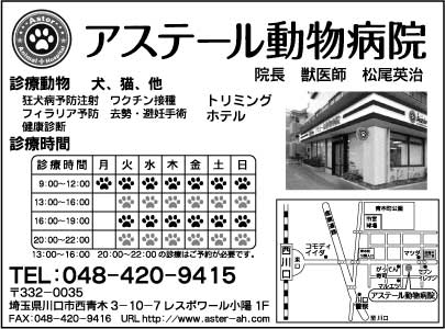 アステ－ル動物病院