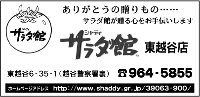 シャディサラダ館