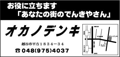 オカノデンキ