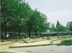 志陽第一公園