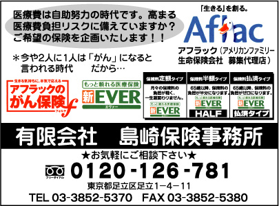 ㈲島崎保険事務所