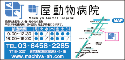 町屋動物病院