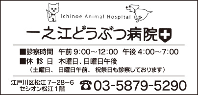 一之江どうぶつ病院